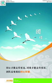 团结广告设计psd素材免费下载 编号5970605 红动网